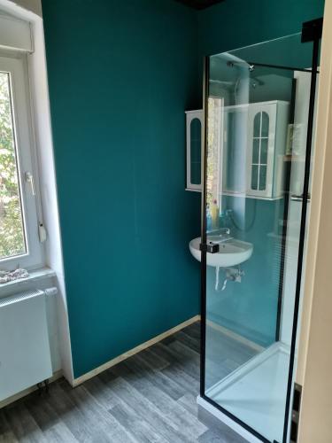 a bathroom with a glass shower and a sink at Ferienhaus Stahlbergblick in Bacharach