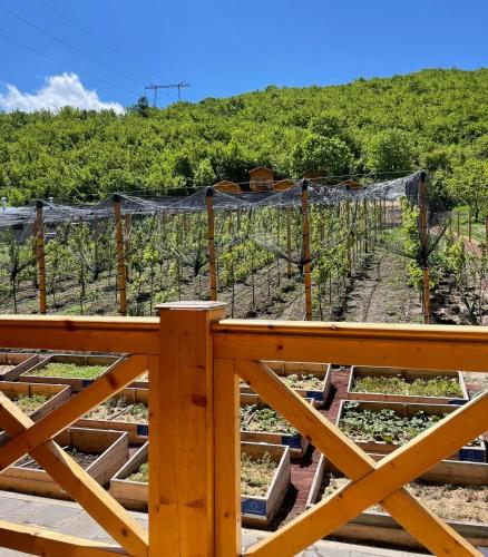 Green Training Center HOVK – Photos 2