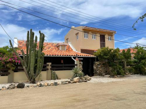 a house with a cactus in front of it at Cunucu Jucasa in Noord