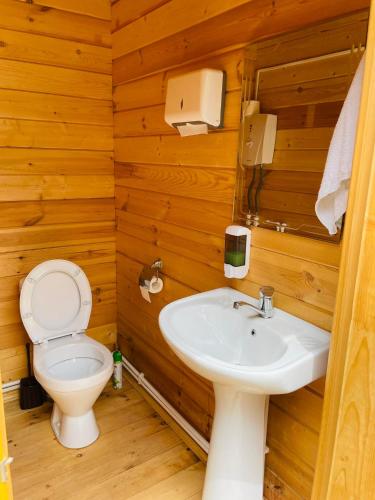 a bathroom with a toilet and a sink at Green Training Center HOVK in Dilijan