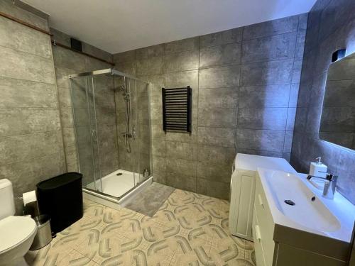 W łazience znajduje się umywalka, prysznic i toaleta. w obiekcie Two bedroom apartment Barinu street w mieście Lipawa