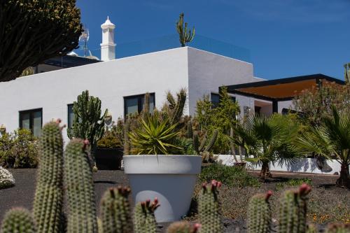 Jardín al aire libre en 5 Suites Lanzarote