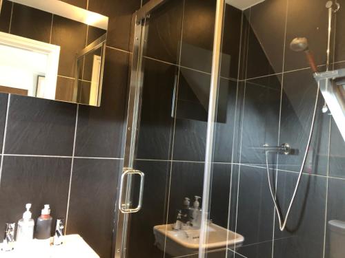 a bathroom with a shower and a sink at Trossachs Barn & Cabin in Port of Menteith