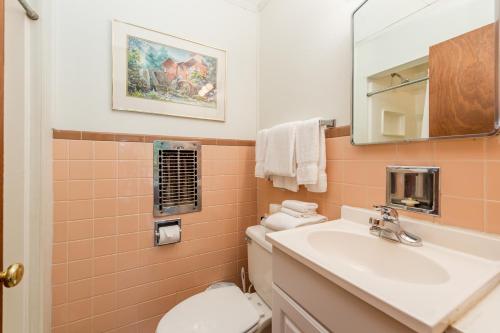 ein Badezimmer mit einem Waschbecken, einem WC und einem Spiegel in der Unterkunft Lakeside Delight - Unit 302 in Flat Rock