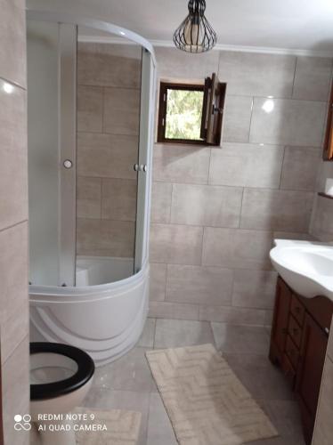 a bathroom with a shower and a sink at Cabana de lângă Vale in Budureasa