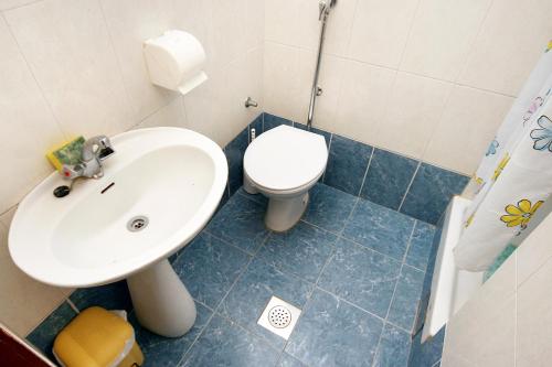 a bathroom with a sink and a toilet at Apartments with parking space Podaca, Makarska - 6055 in Podaca