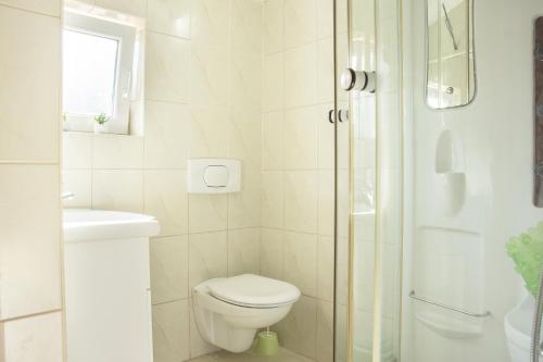 a white bathroom with a toilet and a shower at Apartments by the sea Mali Iz (Iz) - 6163 in Iž Mali