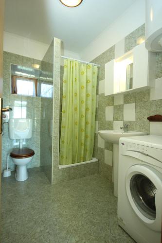 a bathroom with a toilet sink and a washing machine at Holiday house with a swimming pool Cepic, Central Istria - Sredisnja Istra - 7403 in Pulgarija Čepić