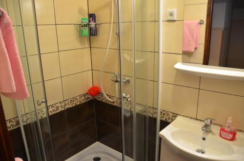 a shower with a glass door next to a sink at Apartments with a parking space Funtana, Porec - 7414 in Funtana