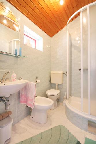 a bathroom with a toilet and a sink and a shower at Apartments with a parking space Vela Luka, Korcula - 7551 in Vela Luka