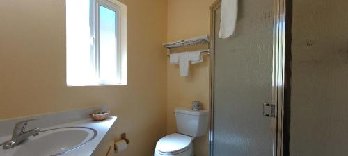 a bathroom with a toilet and a sink and a shower at Lakeview Inn in Lucerne