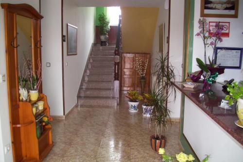 a hallway with a staircase with potted plants at Posada Gran Sol in Queveda