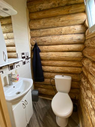 La salle de bains est pourvue de toilettes et d'un lavabo. dans l'établissement ШОВКОВА КОСИЦЯ, à Rakhiv