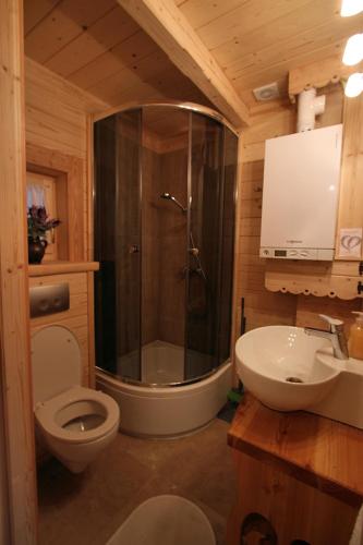 a bathroom with a shower and a toilet and a sink at Tutok in Zakopane