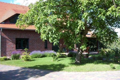 a brick house with a tree in the yard at Kraeuter_Landhaus in Bad Schmiedeberg