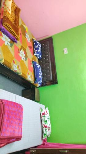 Krishna lodge and homestay – Photos 3