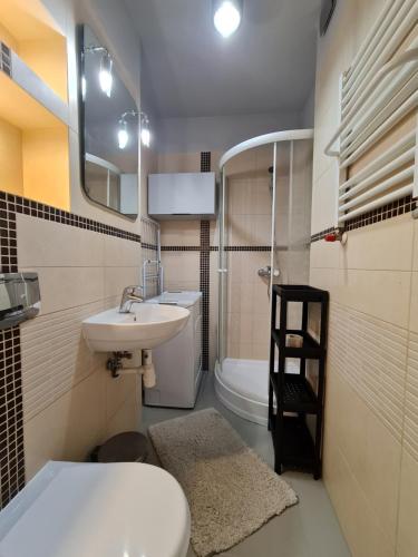 a bathroom with a sink and a toilet and a mirror at Apartament Vincent in Toruń