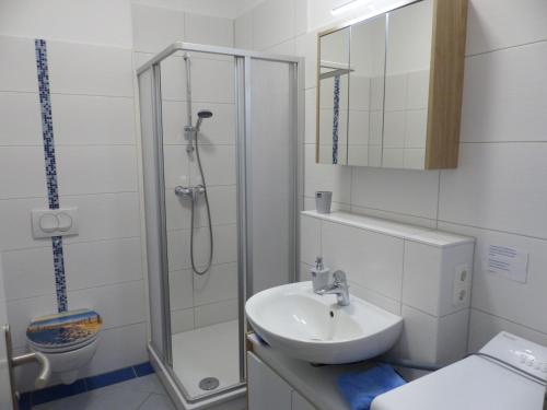 Ένα μπάνιο στο Haus Bucheneck App 03