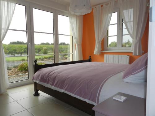 a bedroom with a bed and large windows at Gîte La Grenouillère in Esquéhéries