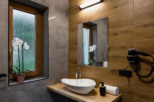 W łazience znajduje się umywalka i lustro. w obiekcie Czorsztyn View Apartamenty w Czorsztynie