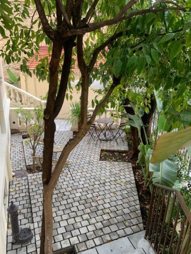 ein kleiner Baum in einem Garten mit einem Backsteinsteg in der Unterkunft Villa Les Fougeres 2p jardin parking in Cannes
