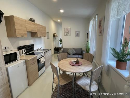 a kitchen with a table and chairs in a room at Penzion Villa Amélie in Mladá Boleslav