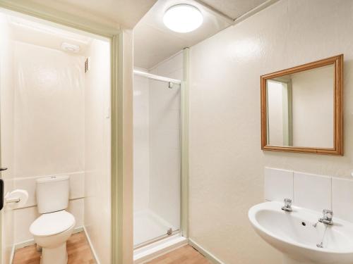 a bathroom with a toilet and a sink and a shower at The Log Cabin in Honiton