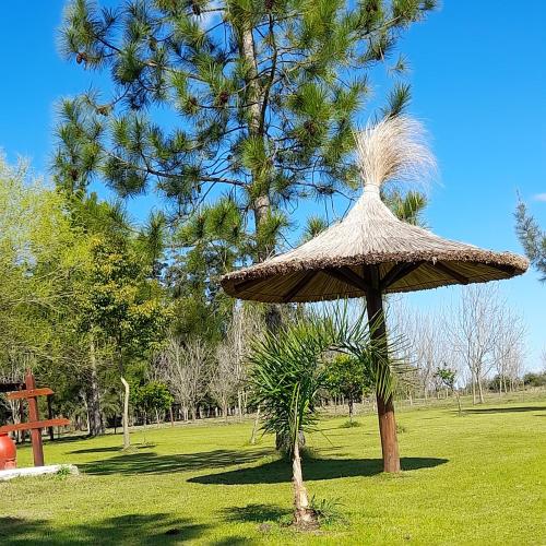 La Cipriana – Photos 4