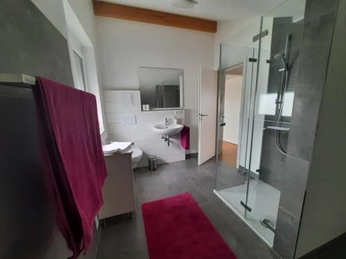 uma casa de banho com um chuveiro, um lavatório e um WC. em Apartment Strawberry em Bermatingen