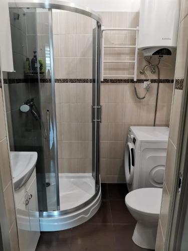 a bathroom with a shower and a toilet at Apartment Windau in Ventspils