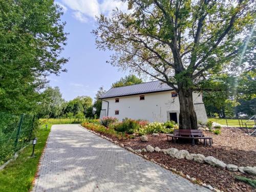 a driveway with a tree and a white building at Winnica NOVI - apartamenty in Cianowice Duże