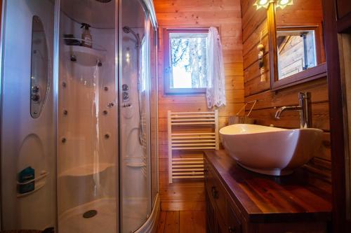 een badkamer met een glazen douche en een wastafel bij Chalet du Bois Joli in Saint-Laurent-en-Grandvaux