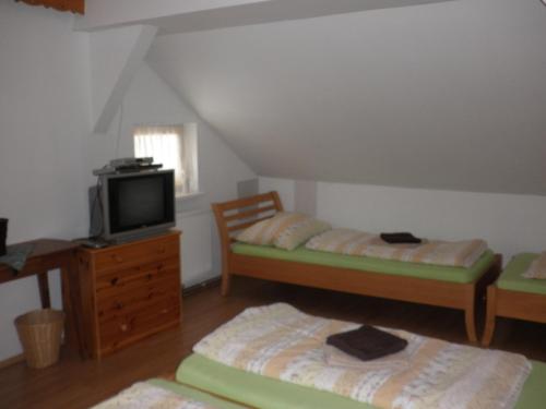 una camera con 2 letti e una TV su un comò di Alpenpension ad Altaussee