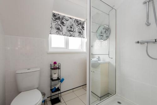 a bathroom with a toilet and a glass shower at Pine Park in Ushaw Moor