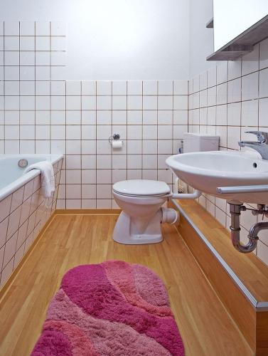 a bathroom with a toilet and a sink at Komfort Ferienwohnung Bad Pyrmont Nähe Kurpark in Bad Pyrmont