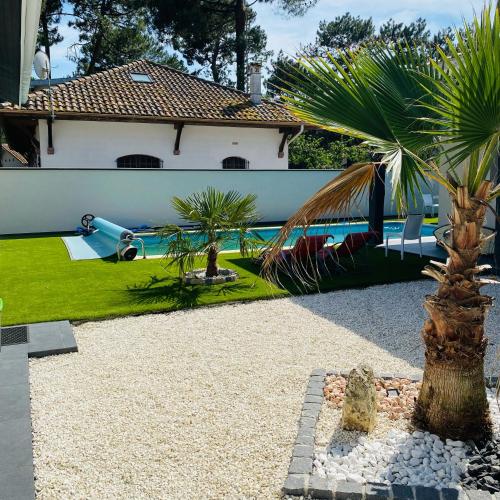 a palm tree in front of a house with a pool at Studio indépendant sur propriété avec piscine partagée in Biscarrosse