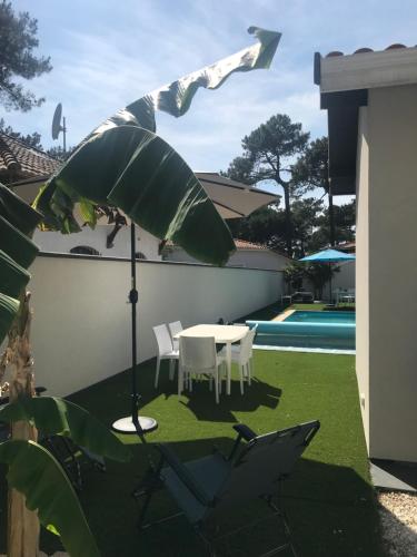 a patio with a table and chairs and a large banana leaf at Studio indépendant sur propriété avec piscine partagée in Biscarrosse