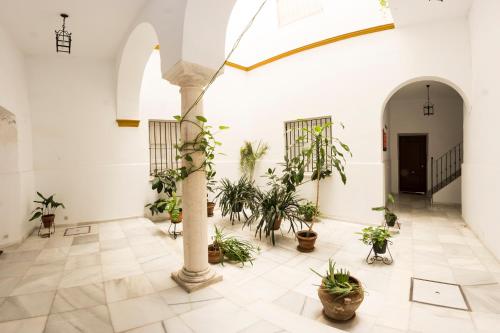 CASA@ENCINA House Yard in Old Town VFT/SE/00719