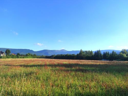 a field of grass with mountains in the background at Willa Kolorowa Chata 6 km Od Karpacza in Mysłakowice