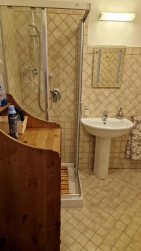 a bathroom with a shower and a sink at La Tana del Capriolo in Prati di Tivo