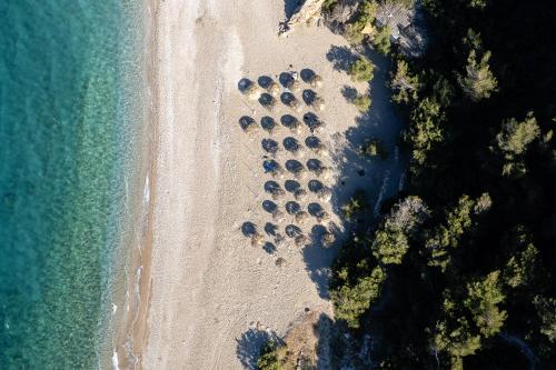 eine Luftansicht auf einen Strand mit einem Haufen Bäume in der Unterkunft Manificus Villas, Designed for Togetherness, By ThinkVilla in Palaiokastro