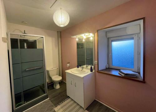 y baño con aseo, lavabo y ducha. en Maison de La Beslière meublé de tourisme 2 étoiles, en Folligny