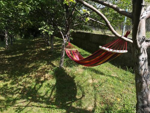 a hammock hanging from a tree in a yard at Edo in Visoko
