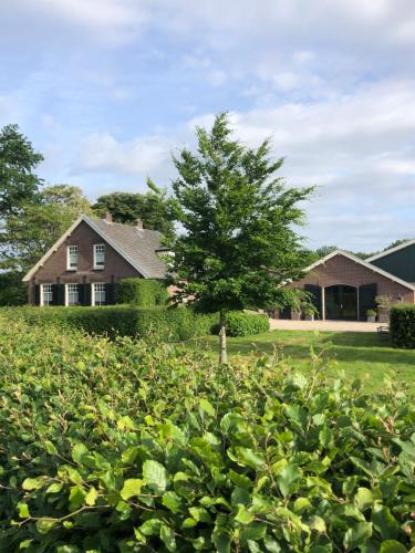 a house with a tree in the middle of a field at Gastenverblijf op de Prins Hendrik Hoeve in Buren in Buren