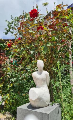 Fotografie z fotogalerie ubytování Art House Koshki v destinaci Gurjaani