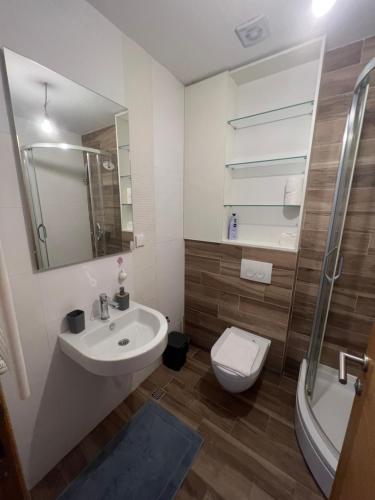 La salle de bains est pourvue d'un lavabo, de toilettes et d'une douche. dans l'établissement Apartment Story,Kajmakcalanska Beograd, à Belgrade