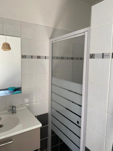 La salle de bains est pourvue d'une douche et d'un lavabo. dans l'établissement Au cœur de Carcassonne, à Carcassonne