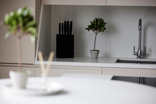 a kitchen with a counter with a sink and a plant at LUSSO Macclesfield Serviced Apartments in Macclesfield