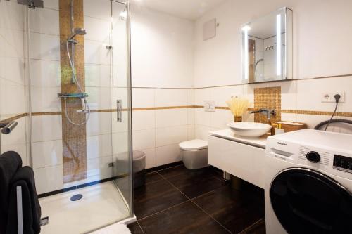 a bathroom with a shower and a sink and a toilet at Gästezimmer in Dresden mit Dach-Terrasse, Wohnbereich und Küche in Dresden