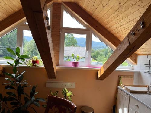 Příroda nedaleko apartmánu
